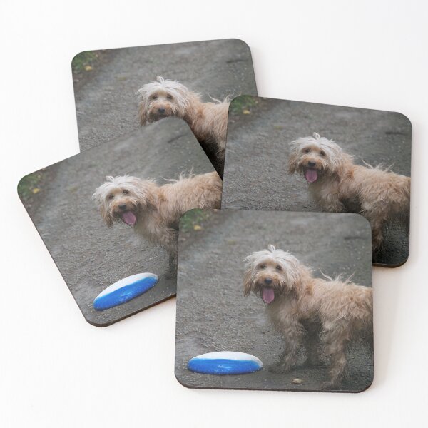 Item preview, Cockapoo Dog Playing With A Frisbee designed and sold by thelemmingface.