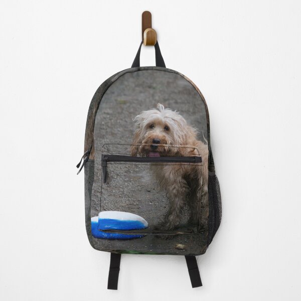 Item preview, Cockapoo Dog Playing With A Frisbee designed and sold by thelemmingface.