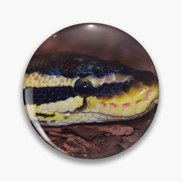 Item preview, Snake designed and sold by ReljaX.