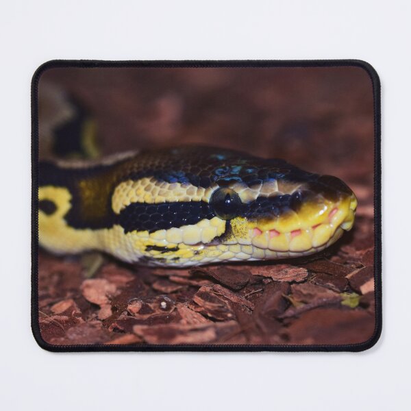 Item preview, Snake designed and sold by ReljaX.