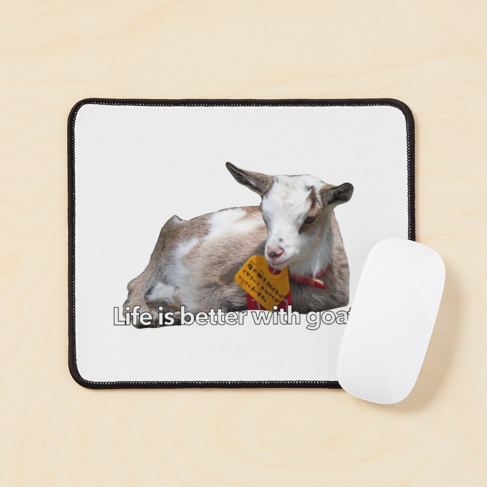 Pin on Goats