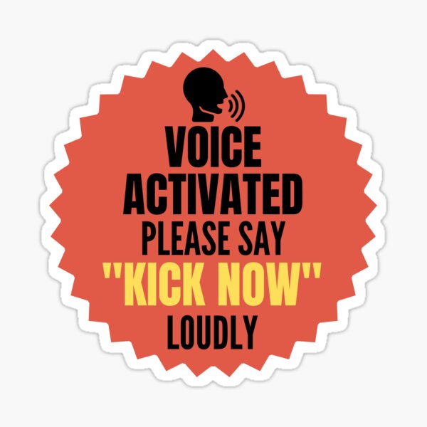 Voice & Motion Activated Prank Stickers for Hilarious Jokes. Funny Gag Gift  to Laugh Away! (2 Pack) 