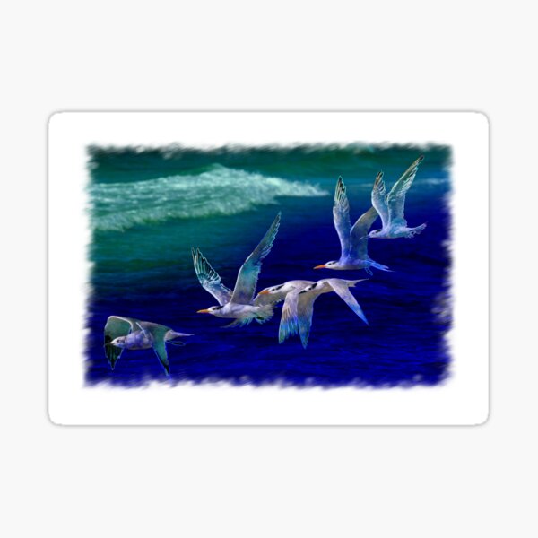 Flock of shorebirds Sticker