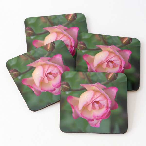 Item preview, Soft Rose designed and sold by CanidaeVulpes.
