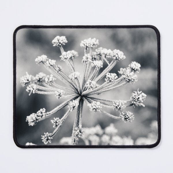 Item preview, Ice flower in winter designed and sold by Jessinia Wallach.