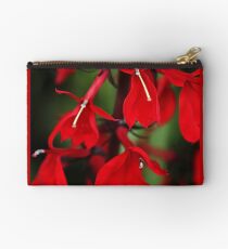Vision In Red Studio Pouch