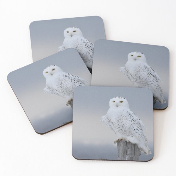 Item preview, Buho Nevado designed and sold by BritHikesON.