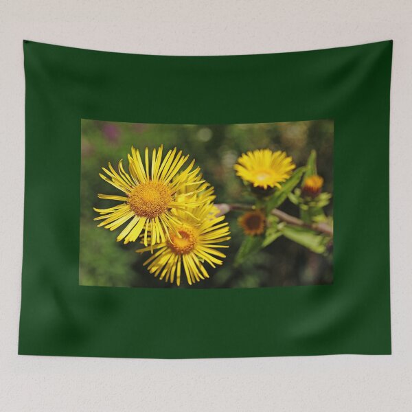 Item preview, Inula Helenium designed and sold by Debbie Oppermann.