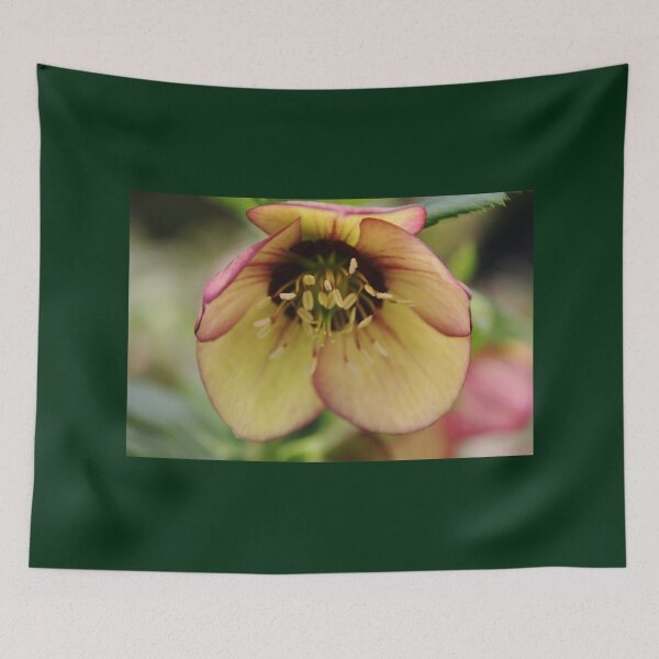 Item preview, Center Stage designed and sold by Debbie Oppermann.