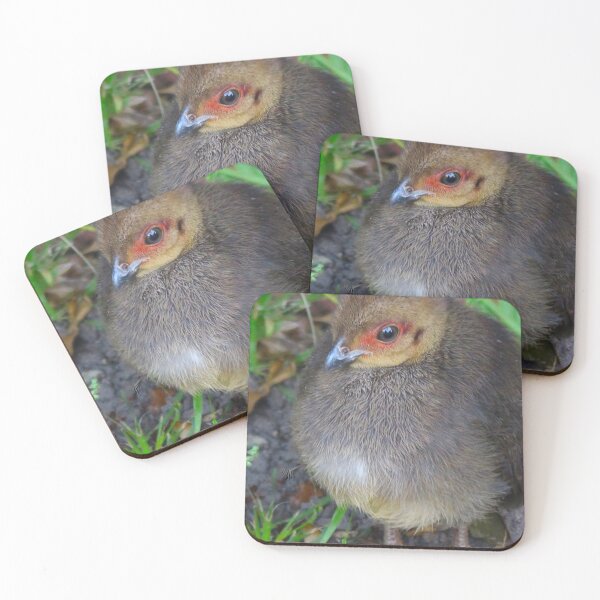 Item preview, The Bush Turkey Chick! designed and sold by Mickangelhere.