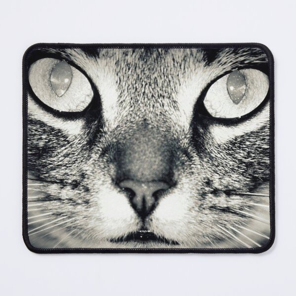 Item preview, close-up cats face designed and sold by Francespoppy.
