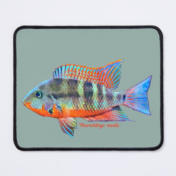 Item preview, Firemouth Cichlid designed and sold by CatsPa.