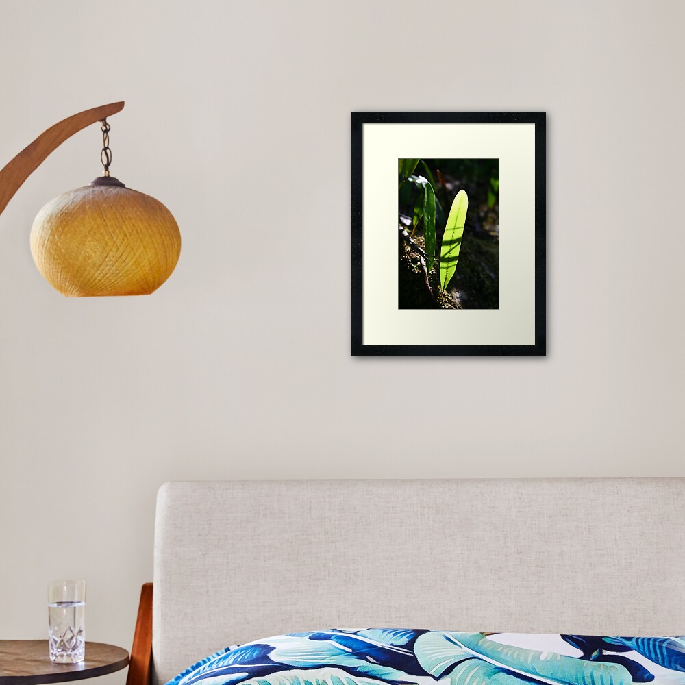 Strap fern Framed Art Print