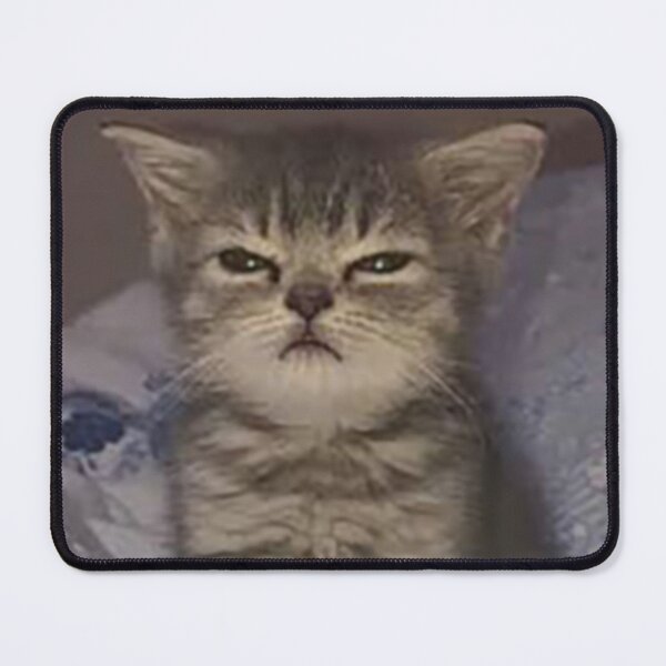 Item preview, Meme de cara graciosa de gato designed and sold by PedestrianWalk.