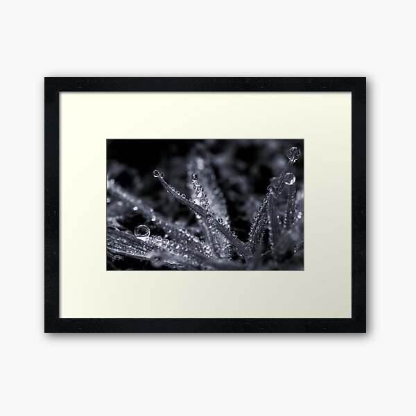 Chandalier Framed Art Print