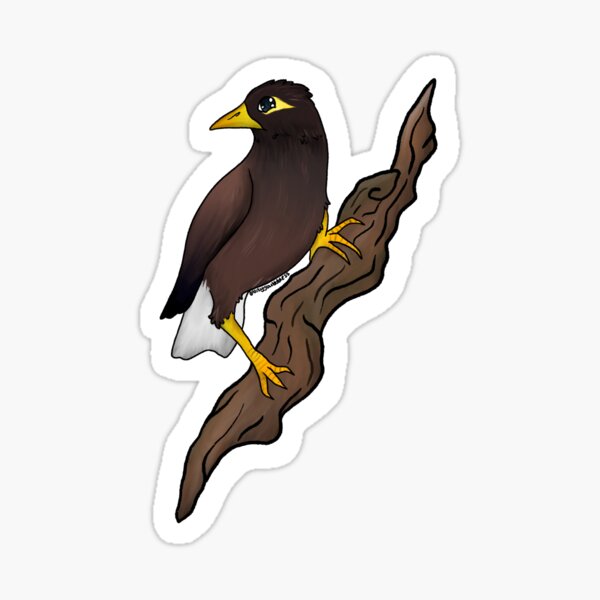 Myna Bird Stickers – B. Miyo Art