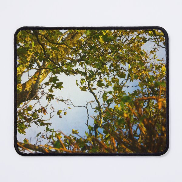 Item preview, nature background designed and sold by Francespoppy.