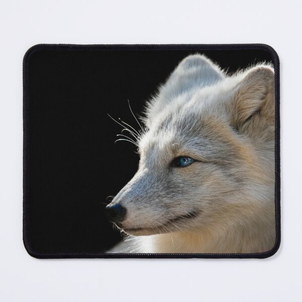 Item preview, Arctic Fox Wildlife Photography designed and sold by AishamPhoto.