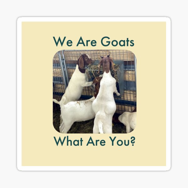 Item preview, We Are Goats - What Are You? designed and sold by TechLaughs.