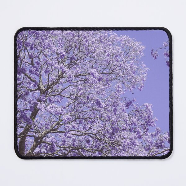 Item preview, Jacaranda Tree in Bloom Wall Art Poster Printable, Grafton Australia, Purple Flowers, Prints DIY Wall Art, Instant Download, Home Decor designed and sold by Boydfoto.