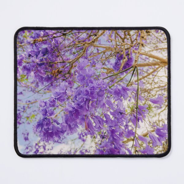 Item preview, Purple Jacarandas Season Wall Art Poster Printable, Grafton Australia, Beautiful Flowers, Prints DIY Wall Art, Instant Download, Home Decor designed and sold by Boydfoto.