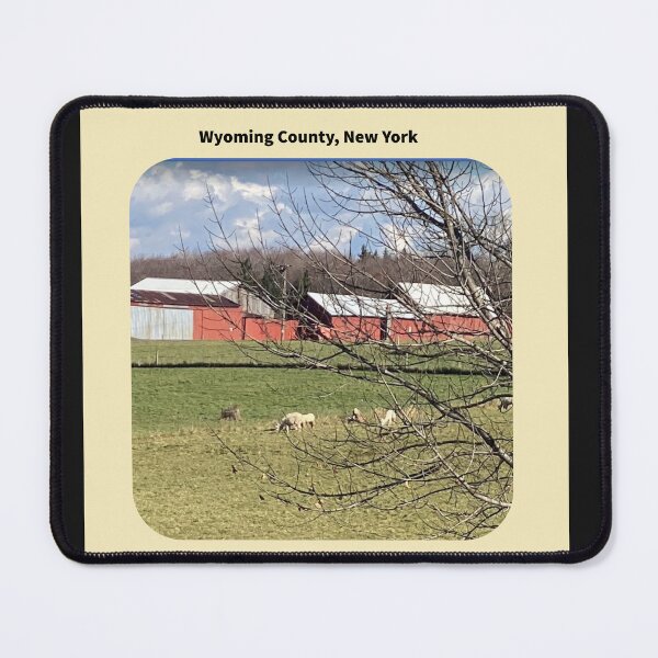 Item preview, Wyoming County New York designed and sold by TechLaughs.