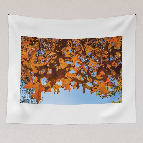 Item preview, Orange Leaves in Autumn Season Wall Art Poster Printable, Nature and Sunshine, Prints DIY Wall Art, Instant Download, Home Decor designed and sold by Boydfoto.