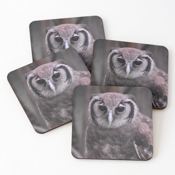 Item preview, Milky Eagle Owl  designed and sold by Sharon the Zoo Lady Photography .