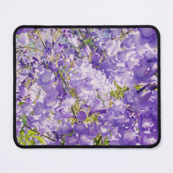 Item preview, Purple Jacarandas Blossom Wall Art Poster Printable, Grafton Australia, Beautiful Flowers, Prints DIY Wall Art, Instant Download, Home Decor designed and sold by Boydfoto.