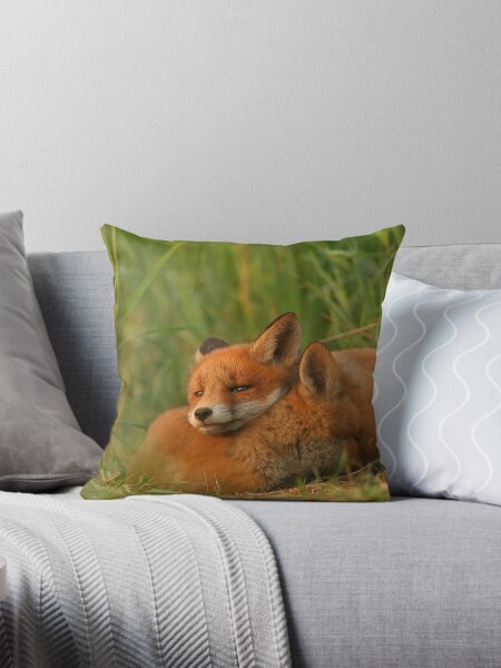 Better than pillow Throw Pillow