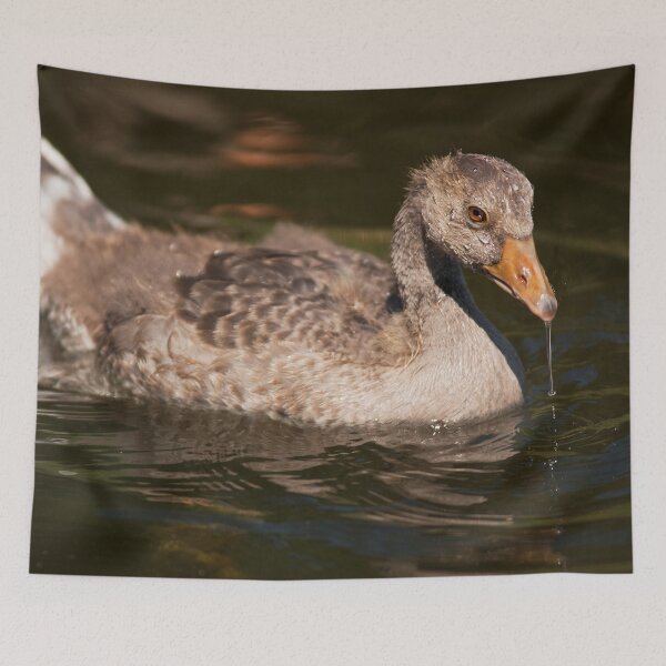 Item preview, All wet designed and sold by Dominika Aniola.