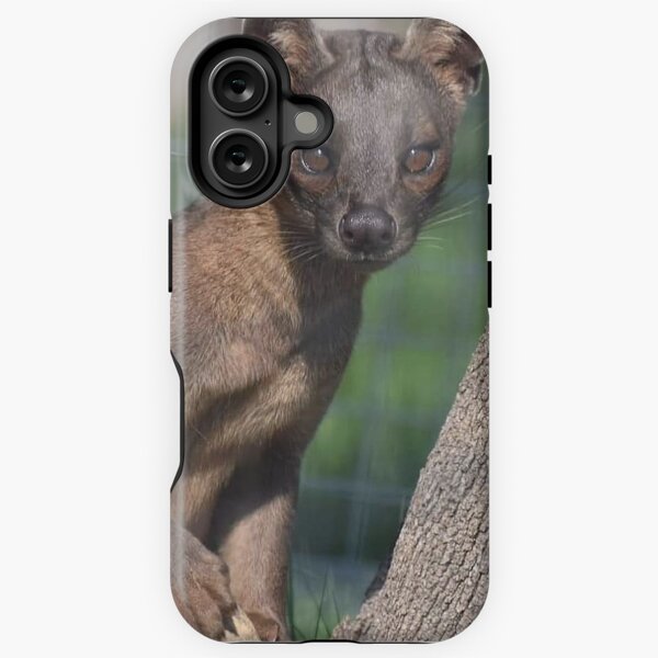 Item preview, Fossa designed and sold by Sharon the Zoo Lady Photography .
