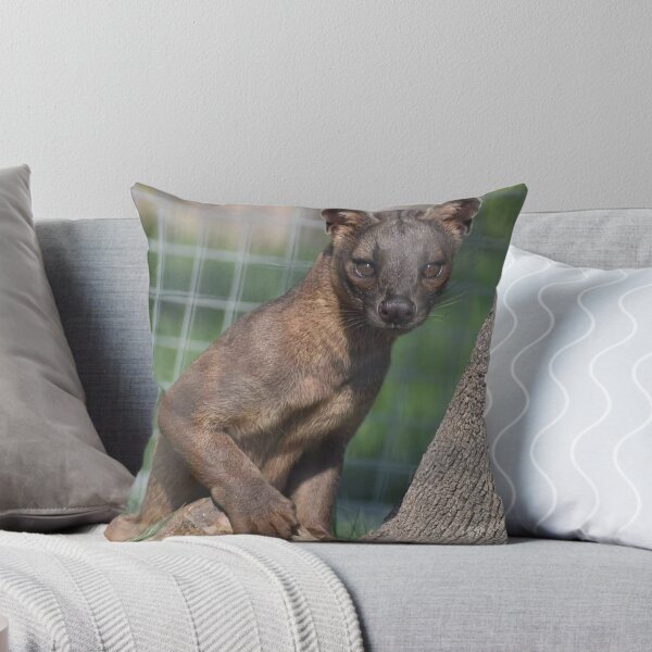 Item preview, Fosa designed and sold by Sharon the Zoo Lady Photography .