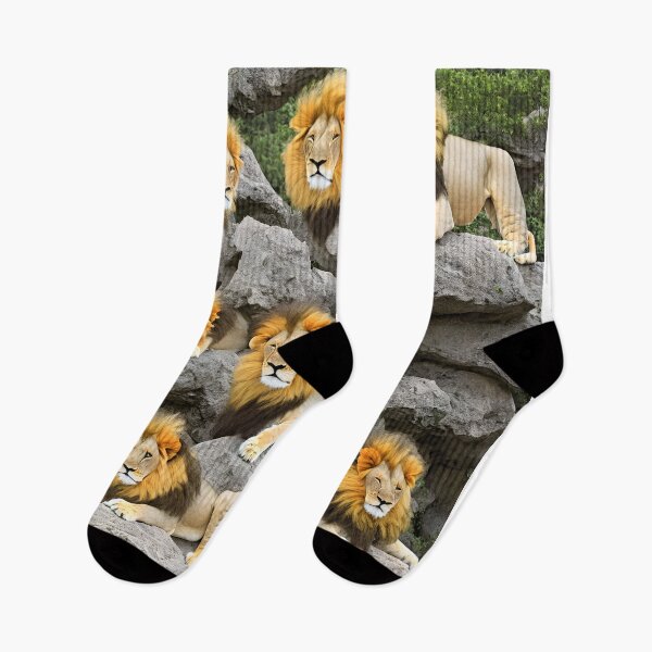 Item preview, pride of lions on the rocks  designed and sold by David-Howells.