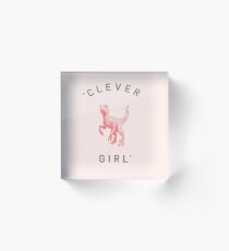 Clever Girl Acrylic Block