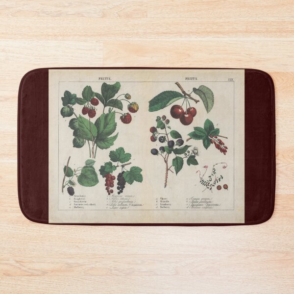 Item preview, Vintage Scientific Drawing of Fruit designed and sold by Cbusch.
