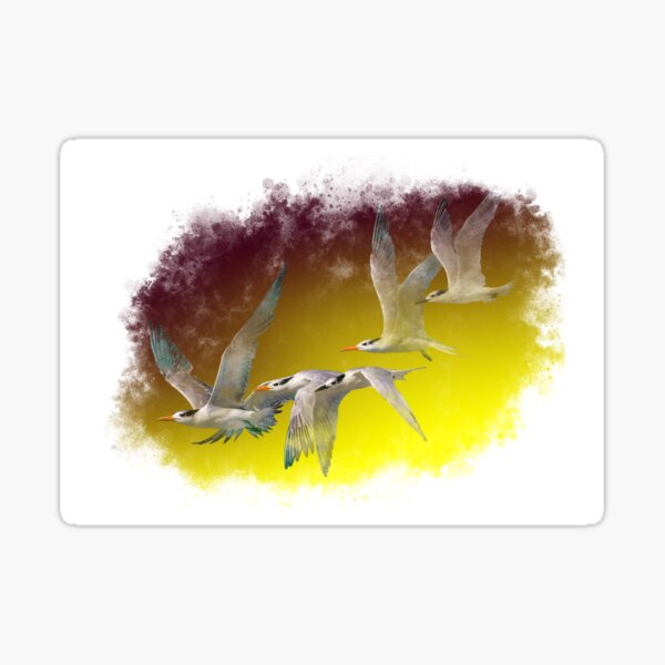 Terns flying together Sticker