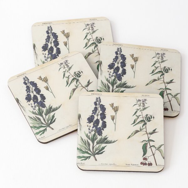 Item preview, Wooly Nightshade and Monks Head Vintage Illustration designed and sold by Cbusch.