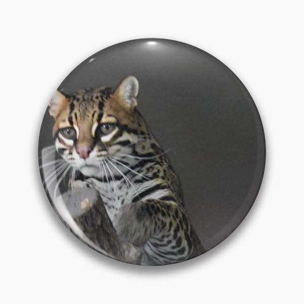 Item preview, Ocelot  designed and sold by Sharon the Zoo Lady Photography .