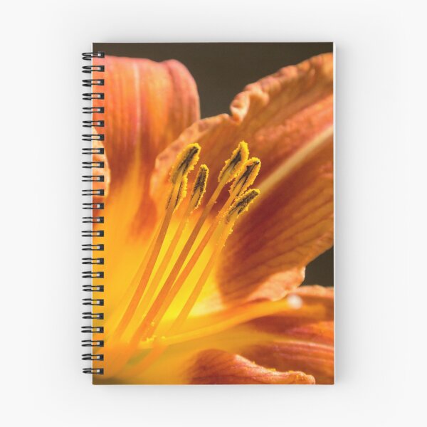 Item preview, Hemerocallis (Day Lily) designed and sold by SMartin.