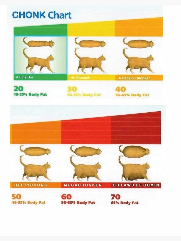 "cat chonk chart meme" Poster for Sale by Sanaamd | Redbubble