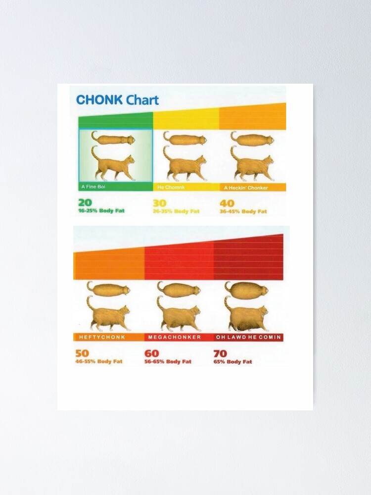 "cat chonk chart meme" Poster for Sale by Sanaamd | Redbubble