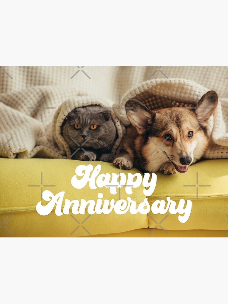 HAPPY ANNIVERSARY (CAT & DOG) Greeting Card for Sale by Paper Bee Gift Shop