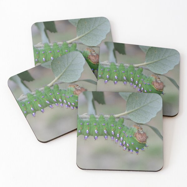 Item preview, Rare Species: Antheraea montezuma caterpillar designed and sold by Entomologist.