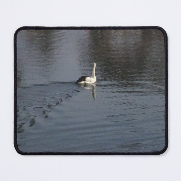 Item preview, Pelican Ripples designed and sold by scholara.