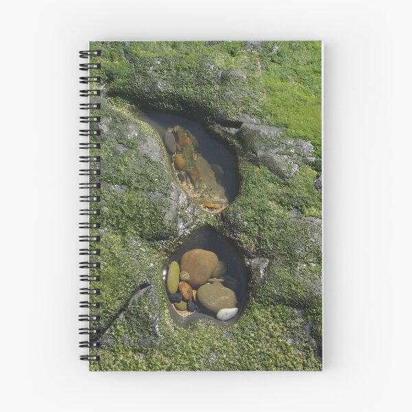 Item preview, Two Rock Pools designed and sold by scholara.