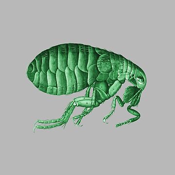Friendly Green Flea  by adrienne75