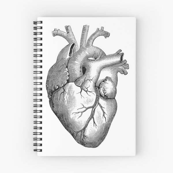 Item preview, Anatomical Heart designed and sold by ChandlerLasch.
