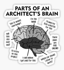 The Architects Brain Anatomy Sticker