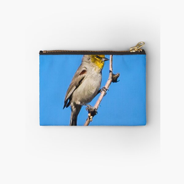 Item preview, Verdin in the Sabino Canyon designed and sold by Robert Kelch, M.D..
